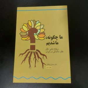 کتاب ما چگونه، ما شدیم | نویسنده دکتر صادق زیباکلام