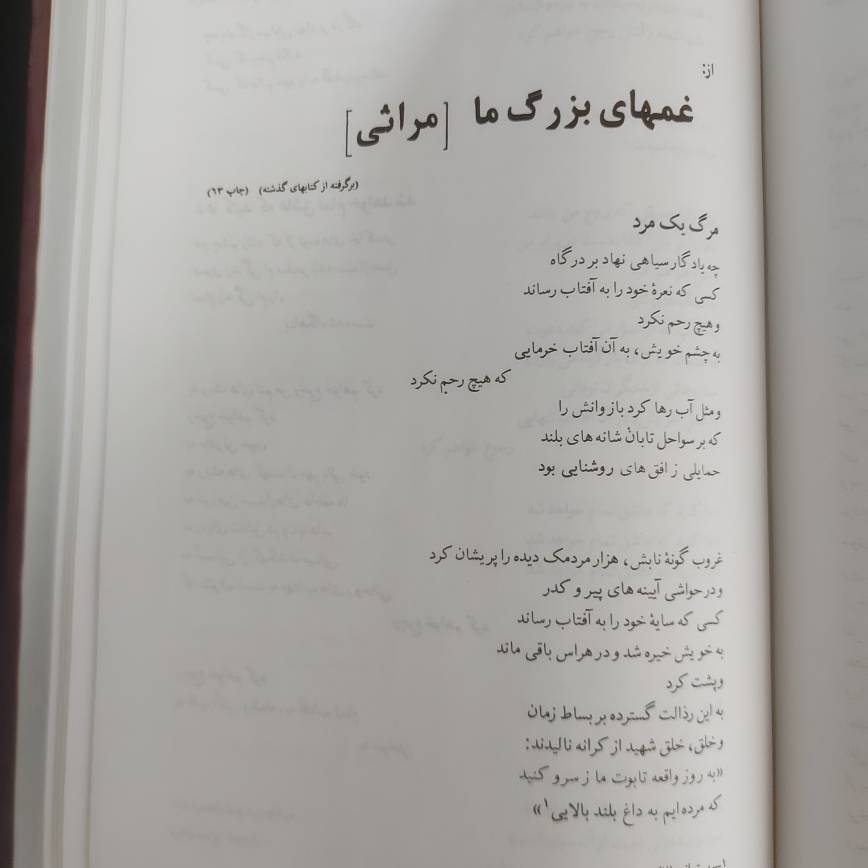 کتاب جنون نوشتن | نویسنده رضا براهنی